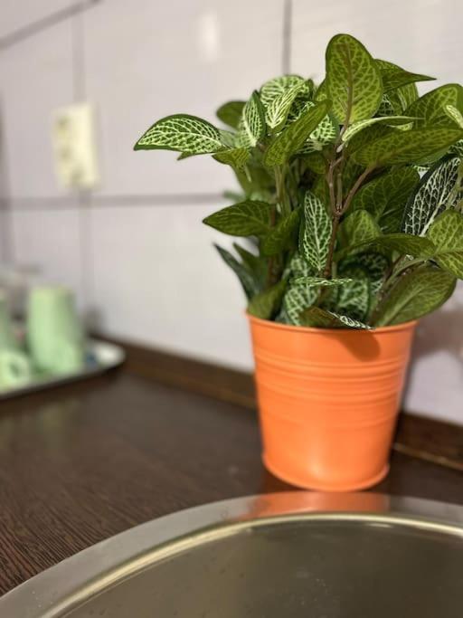 1#Parliament Sunflower Apartments Room Budapeszt Zewnętrze zdjęcie
